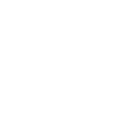 Sichtkraft Studio Logo
