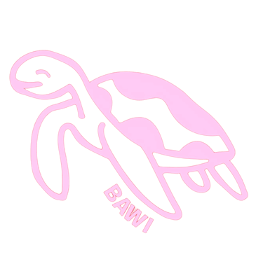 Logo Bawi, fermentos