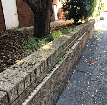 Image of a tree trunk and damaged brick boundary wall.