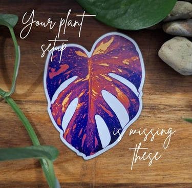 colorful monstera leaf sticker on wood surface with indoor plants plant lover aesthetic decor