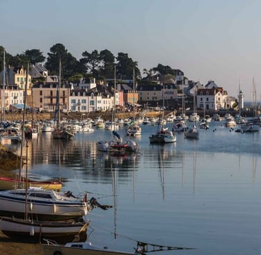 Sauson Belle-Île-en-Mer