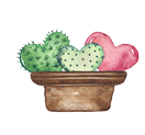 cactus hearts in pot