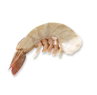 Vannamei Shrimp HLSO - awafood jsc