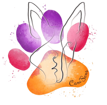 Logo Cani'Sens éducateur canin à Roanne - Lien vers .png