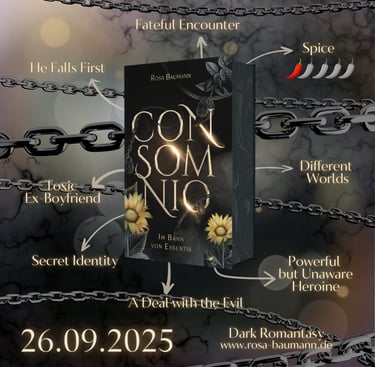 Was dich in Consomnio von Rosa Baumann erwartet