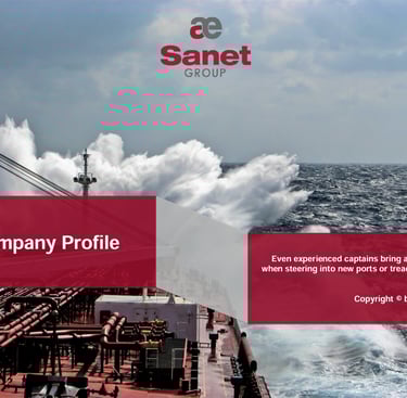 Sanet Company Profile 2024