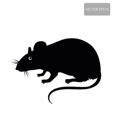 Pest Control Rodent Control in Menifee Footprint Pest Management