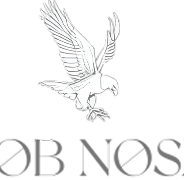 Logo client aigle partenaire vidéo