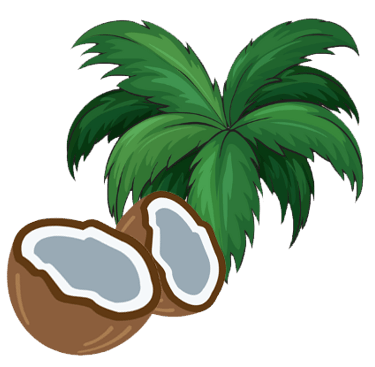 coco voyage france guadeloupe