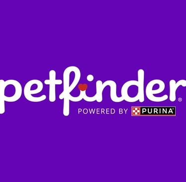 petfinder logo