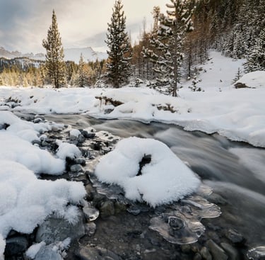 Séjour randonnée raquette Immersion Queyras saison GypAster