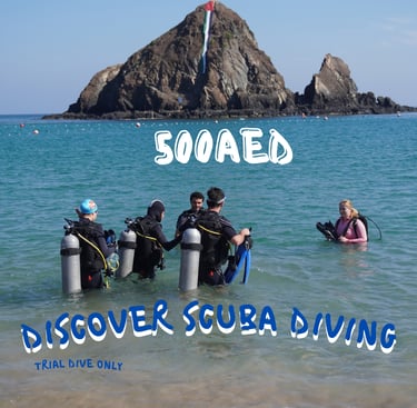 snoopy island try dive. disocver scuba diving with sandy beach dive academy