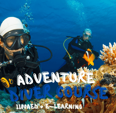 padi adventure diver