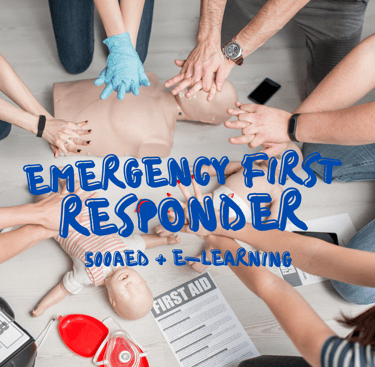 EFR with sandy beach  dive academy