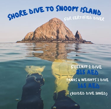 Explore  shore dives at Snoopy Island with Sandy Beach Dive A