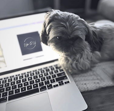 dog photo booth helper