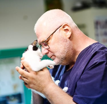 Veterinar Ćirković u zagrljaju sa mačkom – poverenje i ljubav prema životinjama u Zemunu