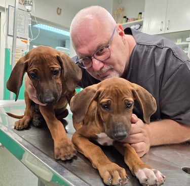 Dr Vladimir Ćirković