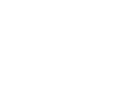 logo bao artisans