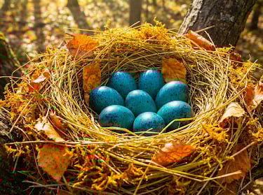 Intégration mimétisme neurone miroir