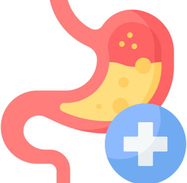 digestion
