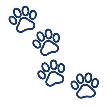 Navy outlined paw print icon representing Doo Ing It dog waste cleanup services in Salem