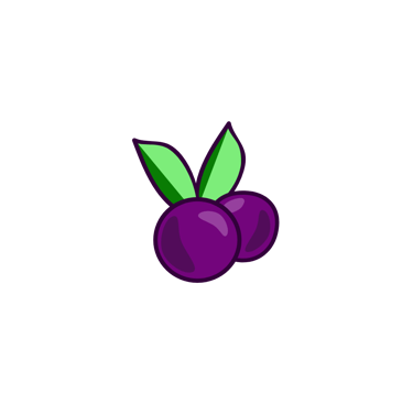 Ilustração da Fruta do Açaí, indicando alta concentração da Polpa 