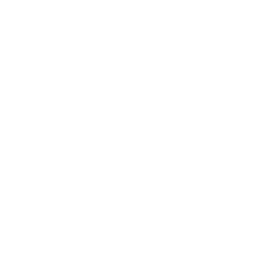Webinars
