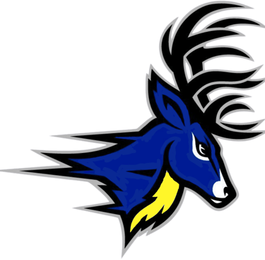 Deer Park DPHS DPMS Stags Spikes Go Stags Printing School