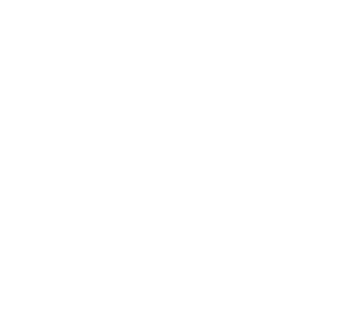 white-phone-icon.png