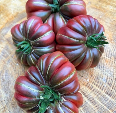 Zapotec Brown Flesh tomato – ribbed heirloom variety with rich, sweet flavour and deep reddish-brown flesh