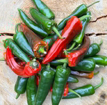 JALAPENO CHILLIES | Medium heat pepper 