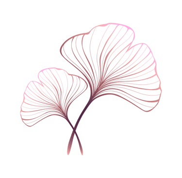 Gingko Biloba