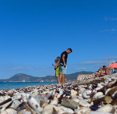 Spiaggia le Ghiaie vista dal basso