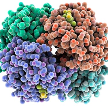 Simplified image of protein (hemoglobin)