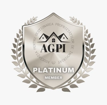 a silver plated badge with a silver and silver badge