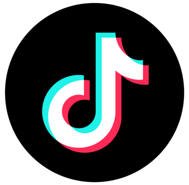 Tiktok Profile Inês Giesteira @inesgies