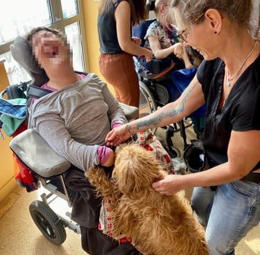 chien avec une personne en fauteuil roulant