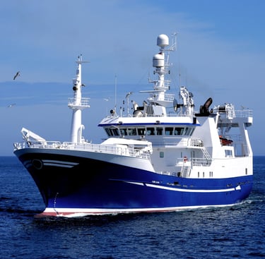 a large boat in the ocean with a bird flying over it