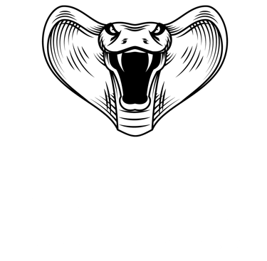 Investigadores Detectives Privados en México