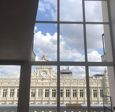 baies vitrées grande taille nettoyées