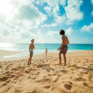 Jellyfish, Marine Debris, Poor Water Quality and Other Beach Hazards!