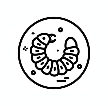 a screwworm
