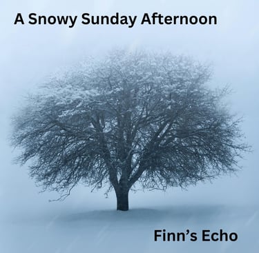 A Snowy Sunday Afternoon Album Art for Finn's Echo