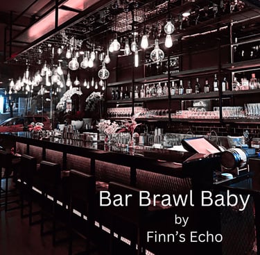 Bar Brawl Baby (feat Steve Contino) Album Art  for Finn's Echo