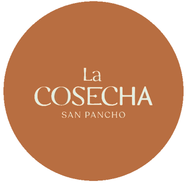 la cosecha san pancho