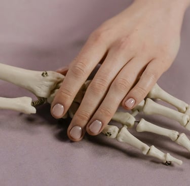 living hand and a skeleton hand 