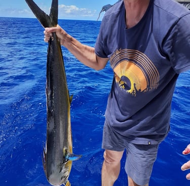 mahi mahi sailing adventure