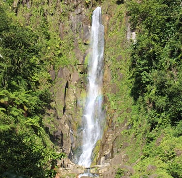 dominica sailing adventure