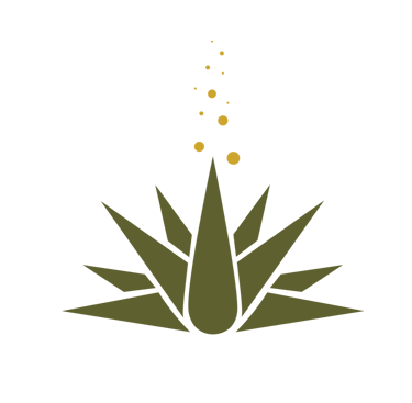 agave plant with a sprout of leaves and bubbles